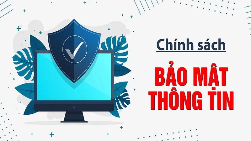 Phạm vi thu thập thông tin trong chính sách bảo mật