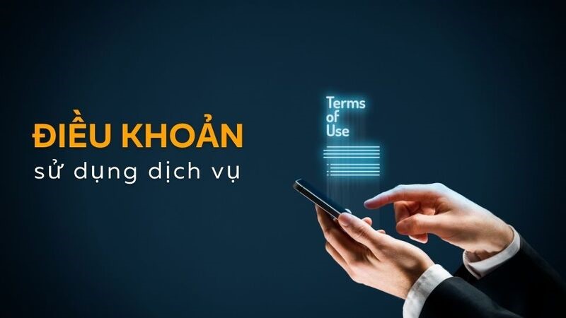Mục đích của việc đề ra điều khoản sử dụng trên nền tảng