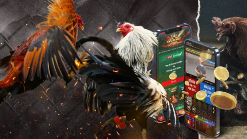Giới thiệu chuyên mục lịch đá gà