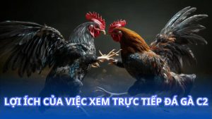 Lợi ích của việc xem trực tiếp đá gà C2